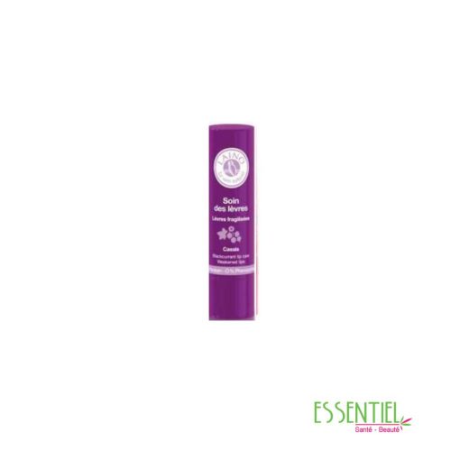 LAINO Soin des lèvres fragilisées goût cassis, 4g
