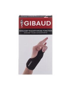 GIBAUD MANUGIB RHIZARTTHROSE FONCTION T2D
