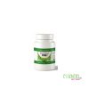 phytovertus-moringa-pure