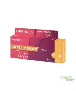herbex magnesium bt 20 gellules