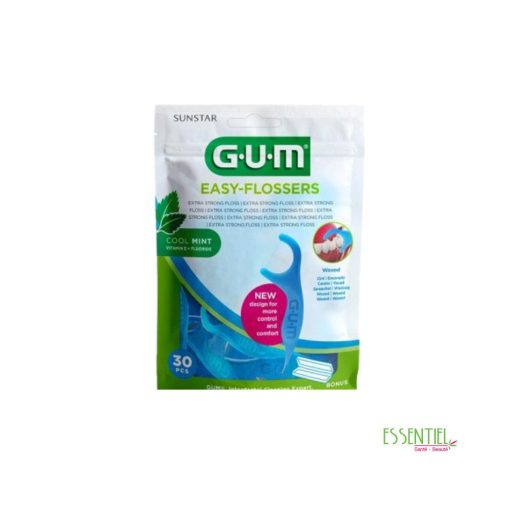 GUM PORTE FIL EASY FLOSS 890