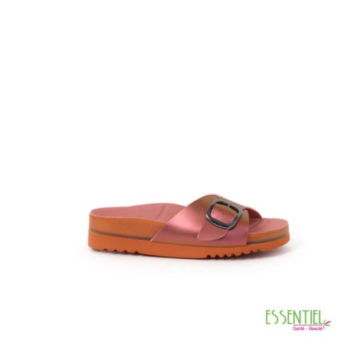 SCHOLL-senny