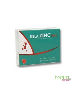 kela zinc fort boite de 60