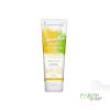 les secrets de loly smoothie ananas 250ml